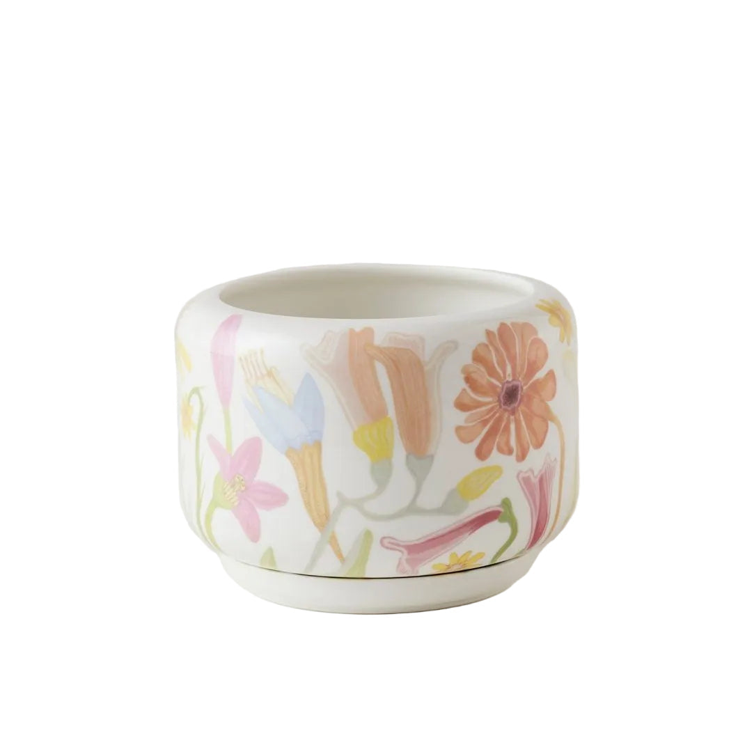 Flower Field Succulent Pot