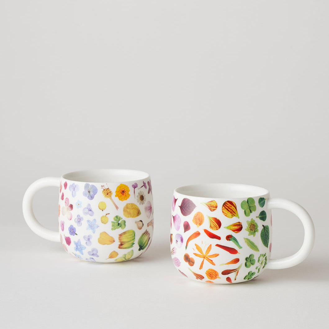 Flower Rainbow Sunny Day Mugs Set of 2