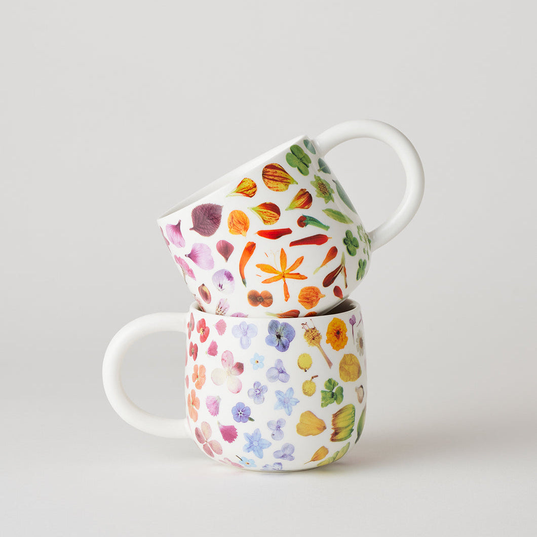 Flower Rainbow Sunny Day Mugs Set of 2