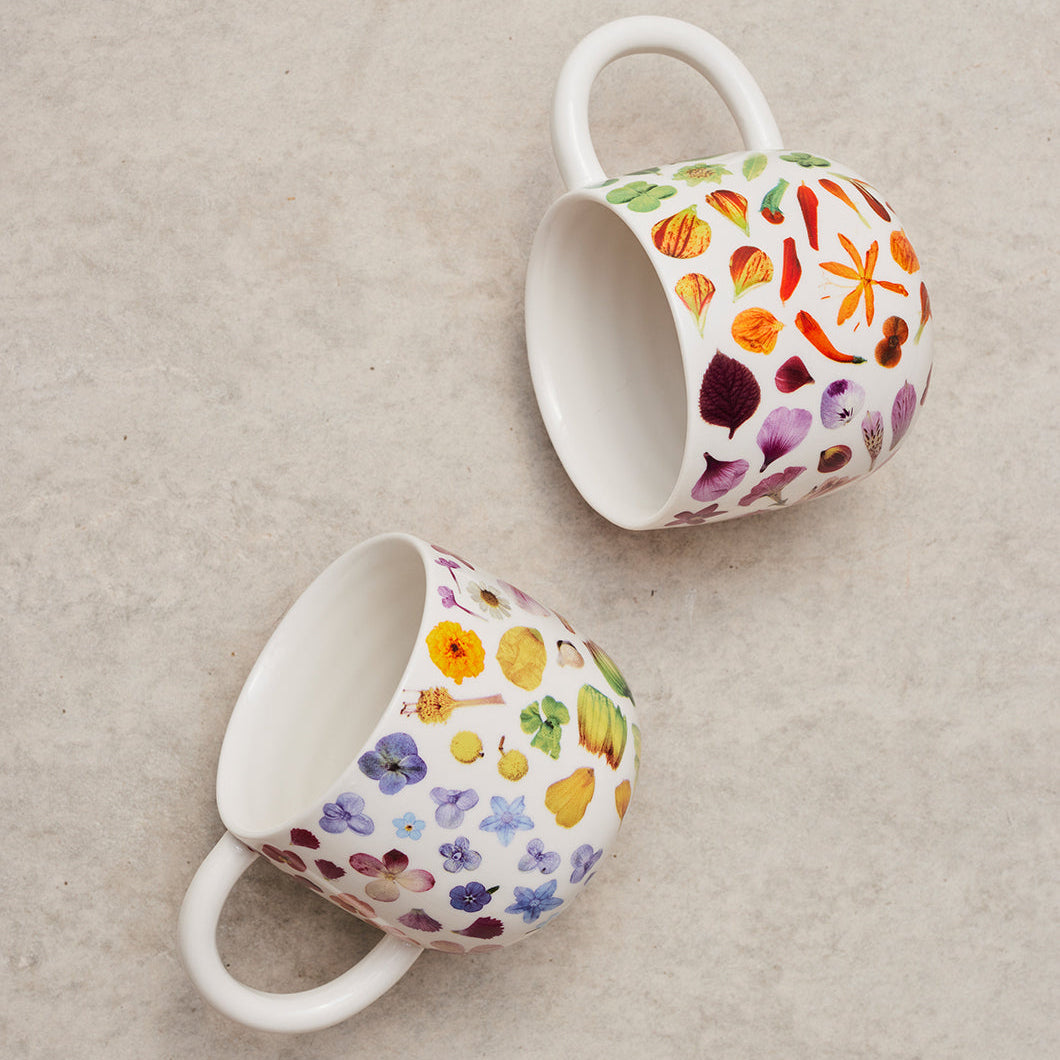 Flower Rainbow Sunny Day Mugs Set of 2