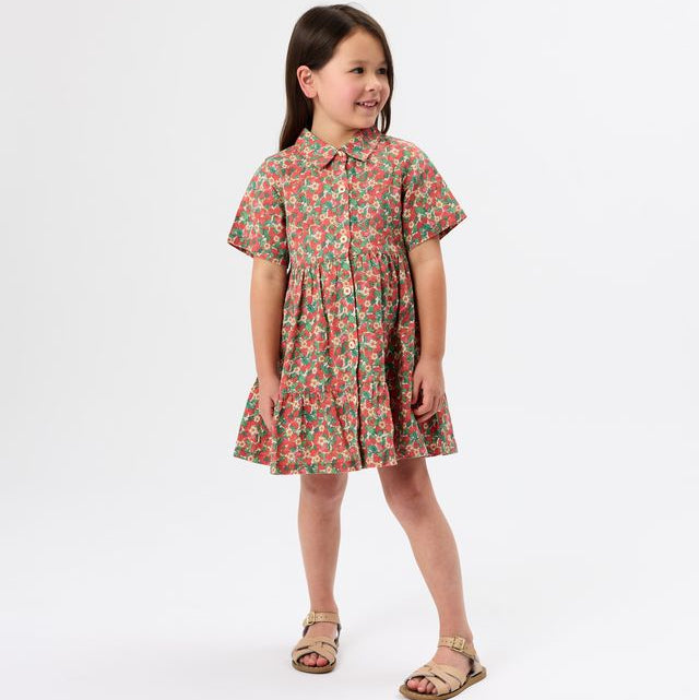 Strawberry Monica Kids Dress
