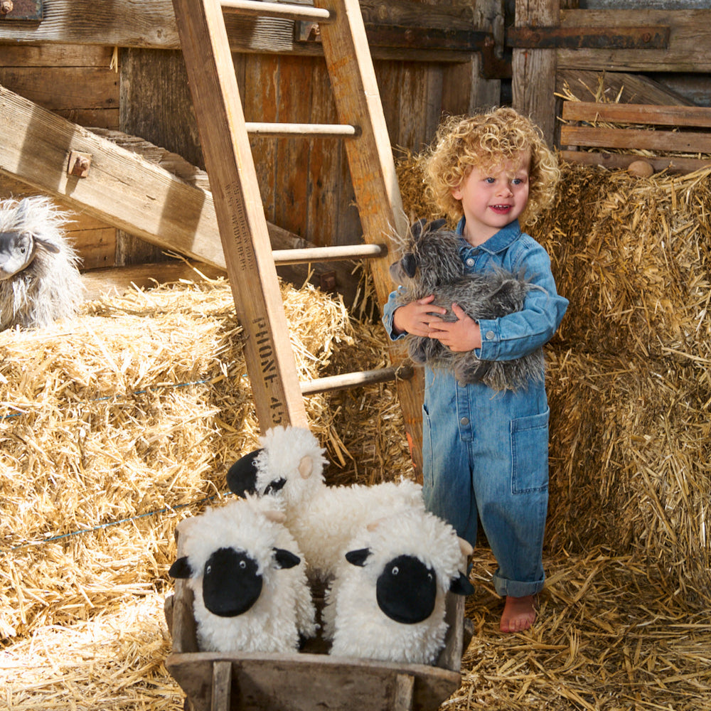 Aiden the Angora Goat