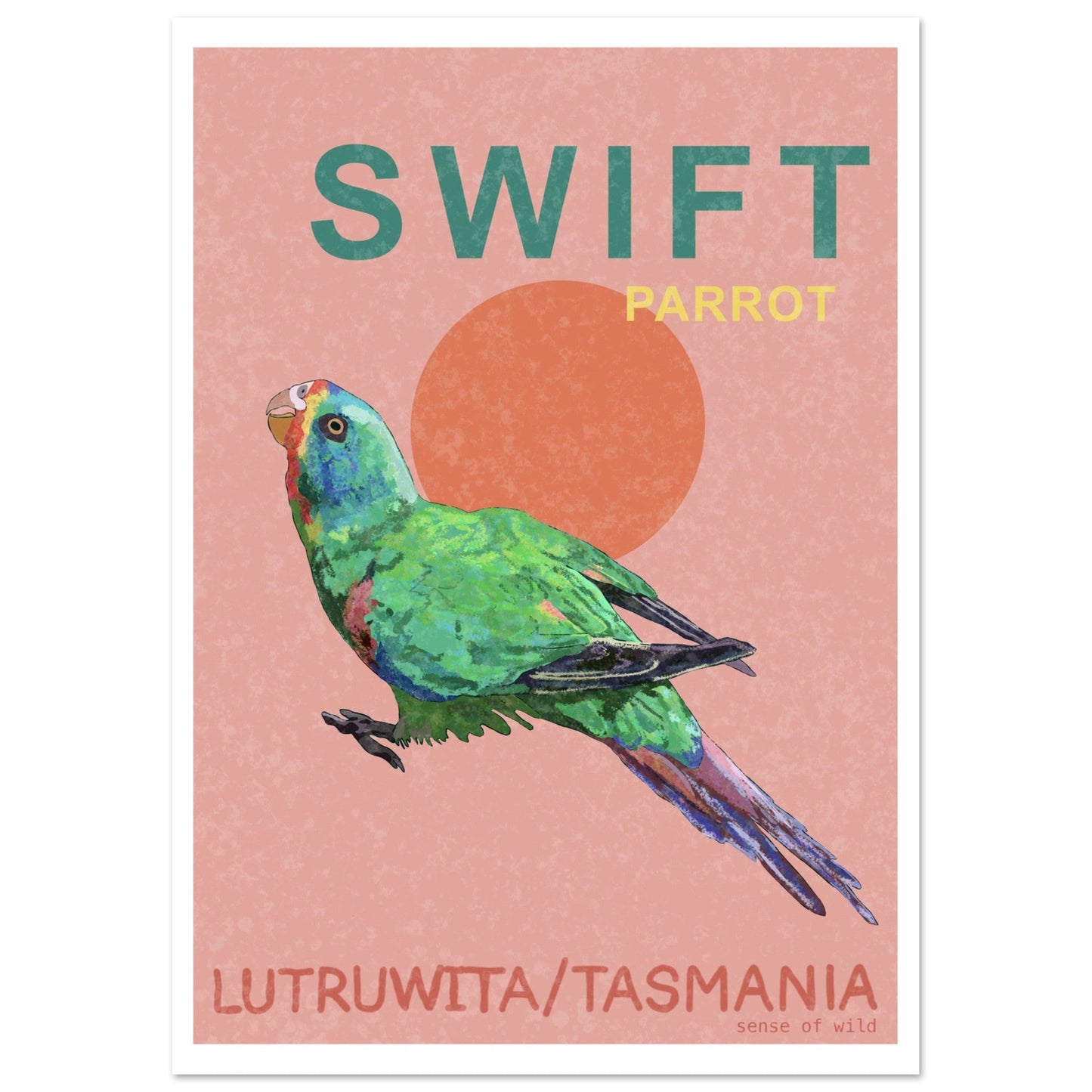Swift Parrot Print