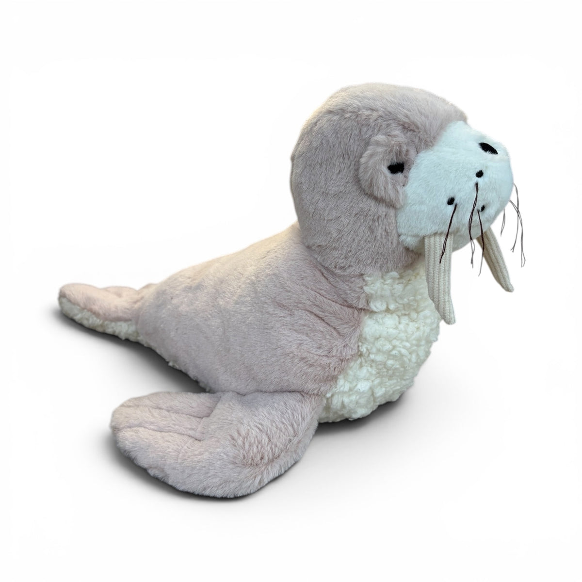 Daryl Walrus