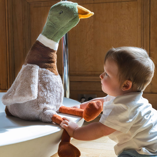 Big Hugo the Mallard Duck