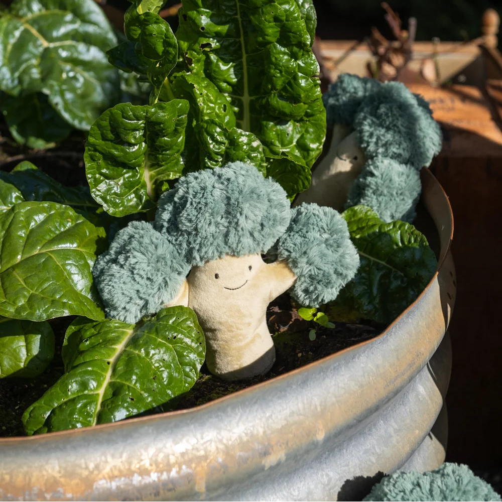 Bo Broccoli - The Green Friend