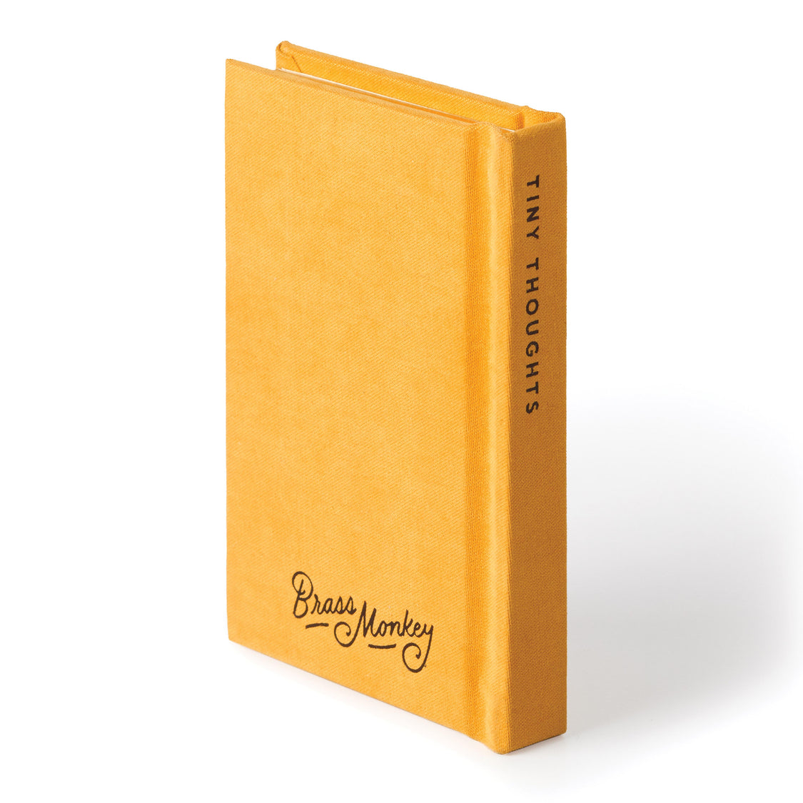 A Tiny Diary For Tiny Thoughts Mini Notebook
