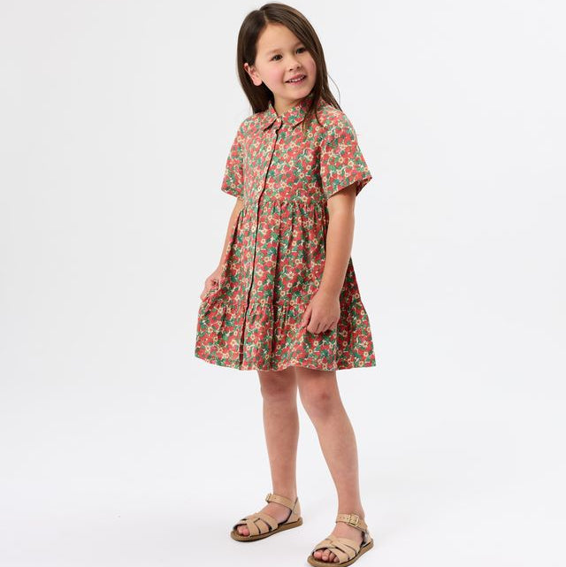 Strawberry Monica Kids Dress