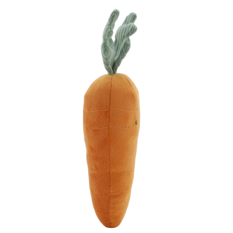Curtis Carrot - The Caring Friend