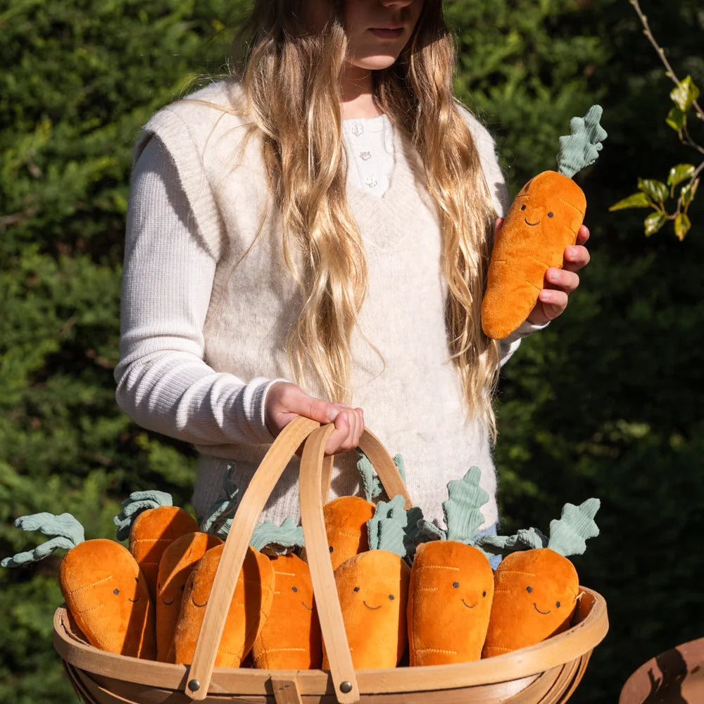 Curtis Carrot - The Caring Friend