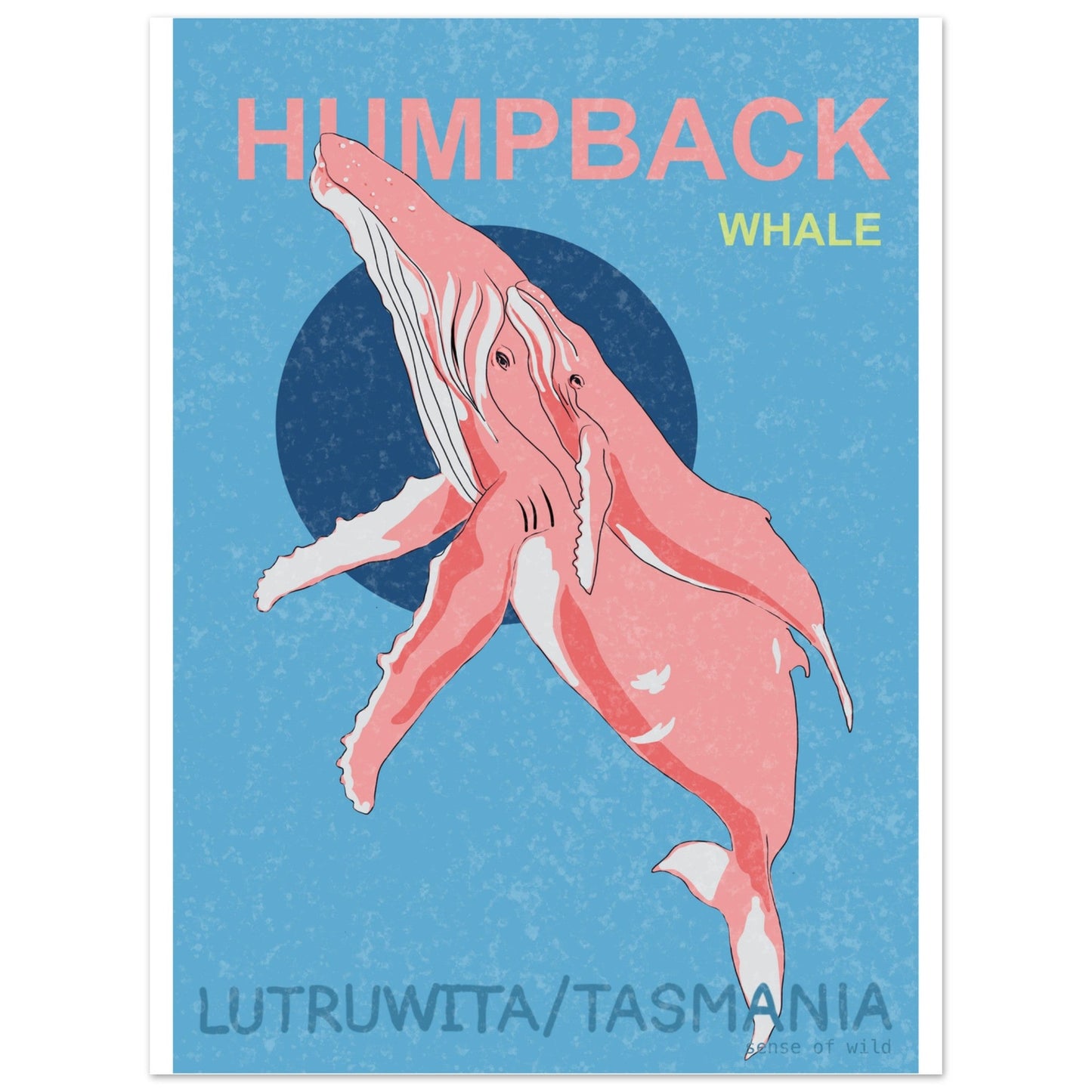 Humpback Whale Print