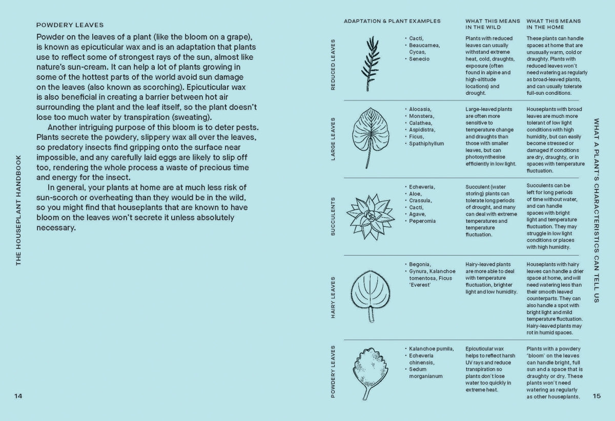 The Houseplant Handbook