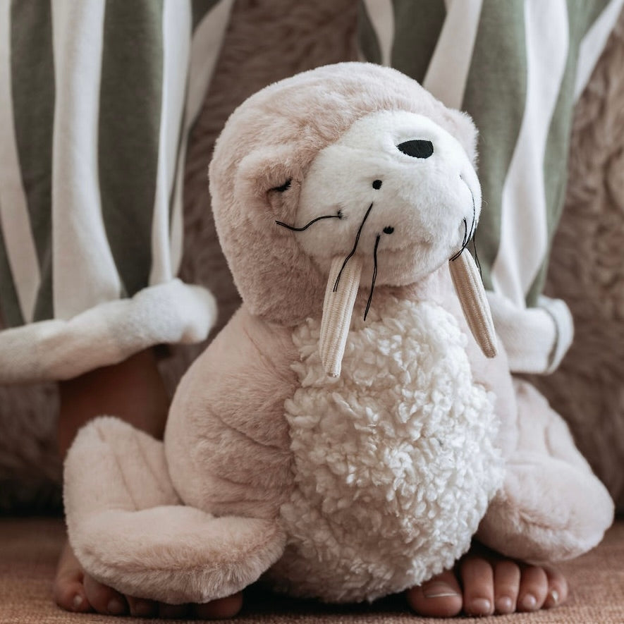 Daryl Walrus