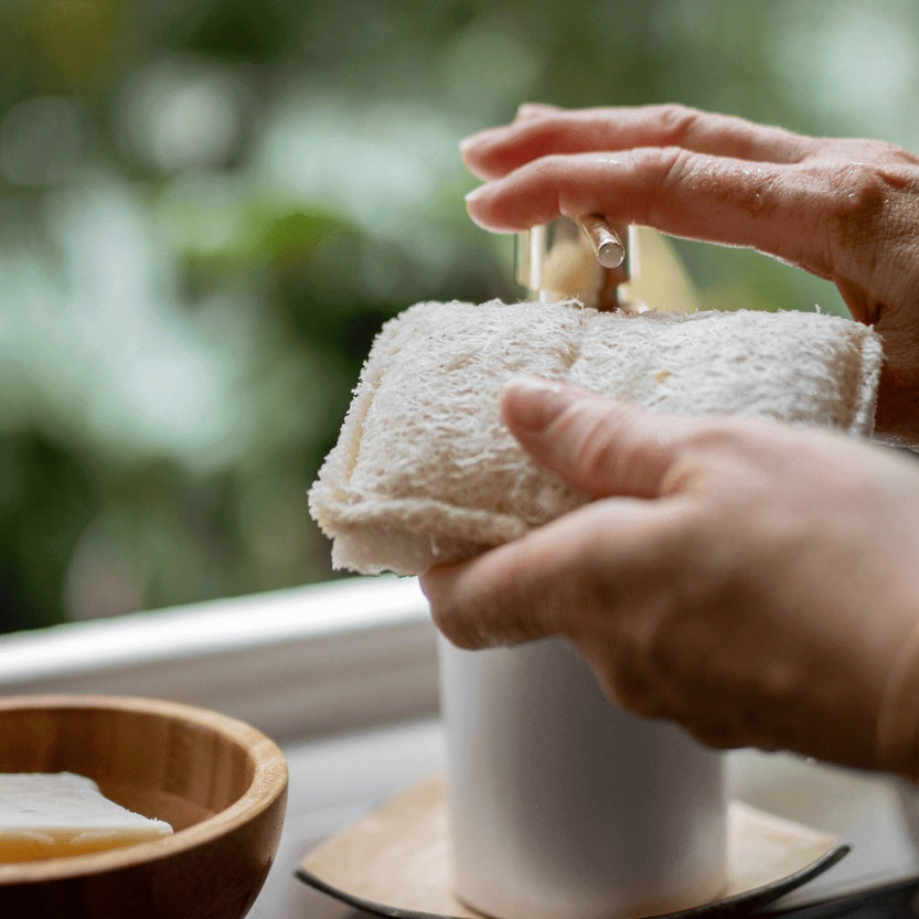 Natural Loofah Sponge