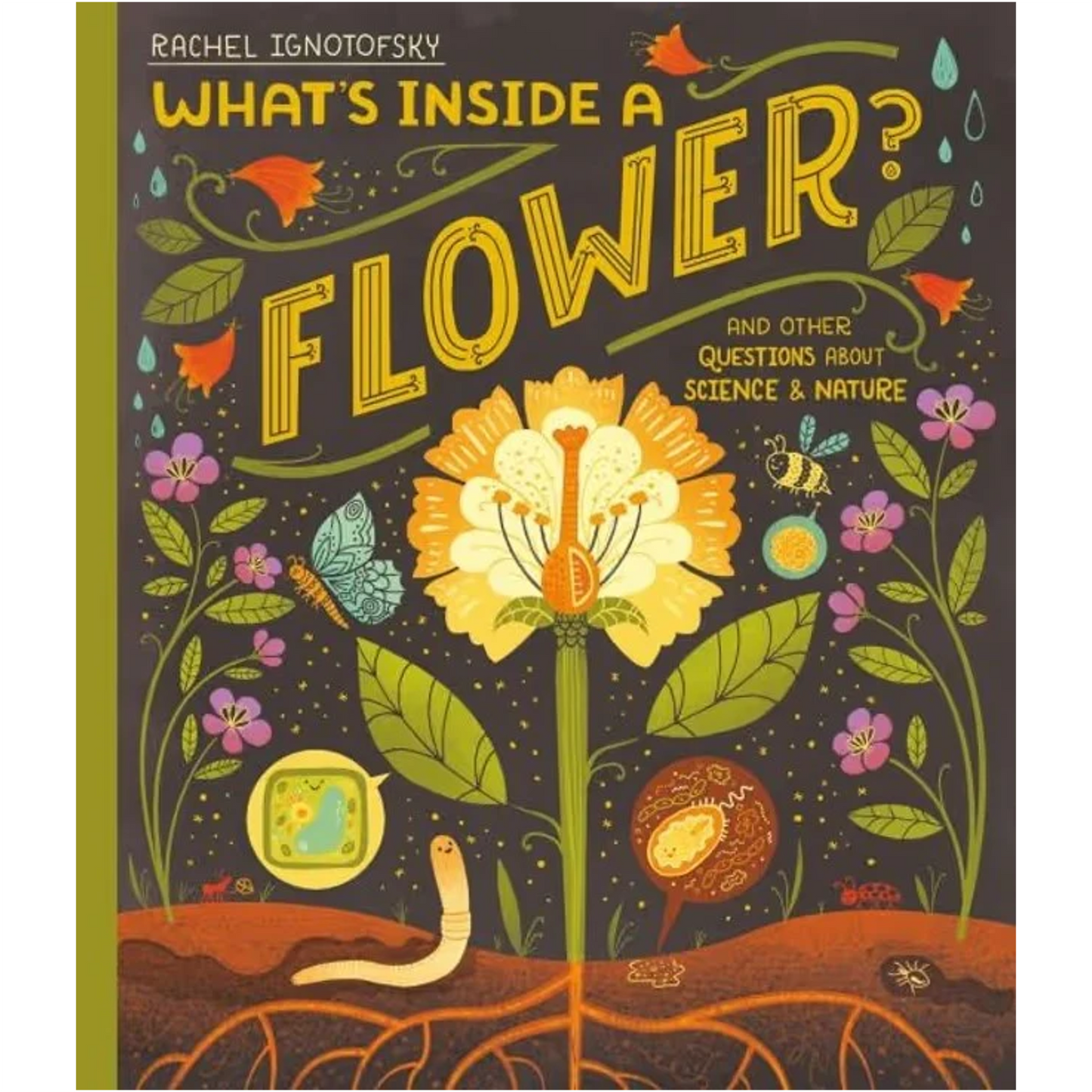 What's Inside a Flower?