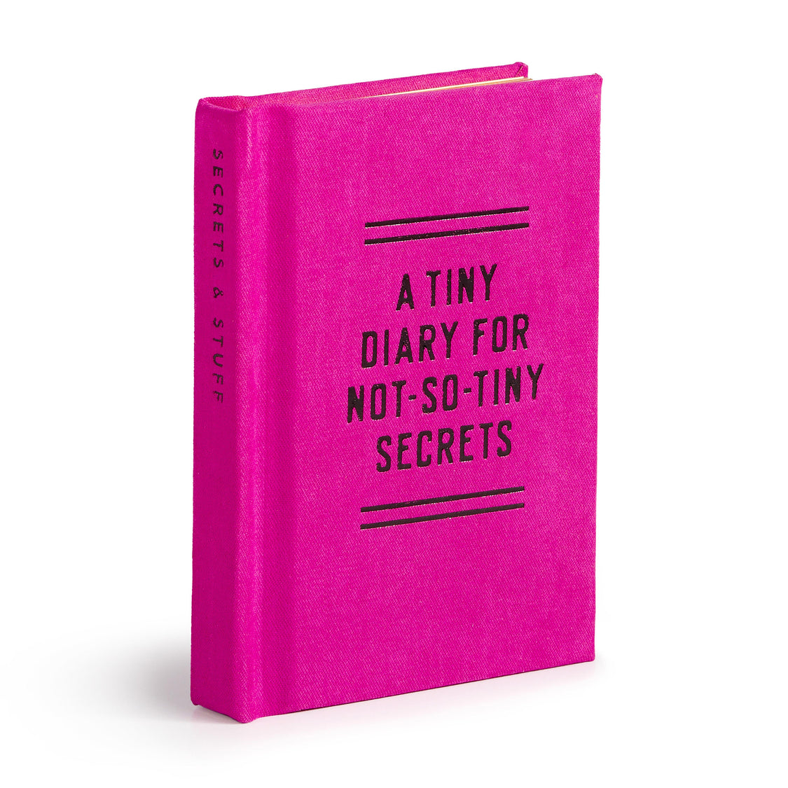 A Tiny Diary For Not So Tiny Secrets Mini Notebook