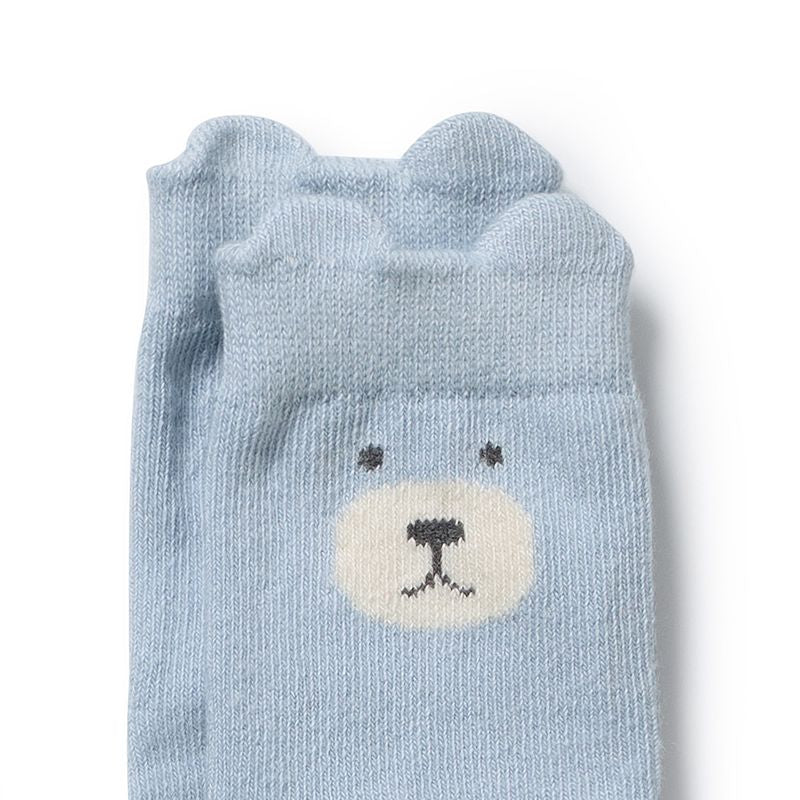 Boys Organic 4 Pack Baby Socks