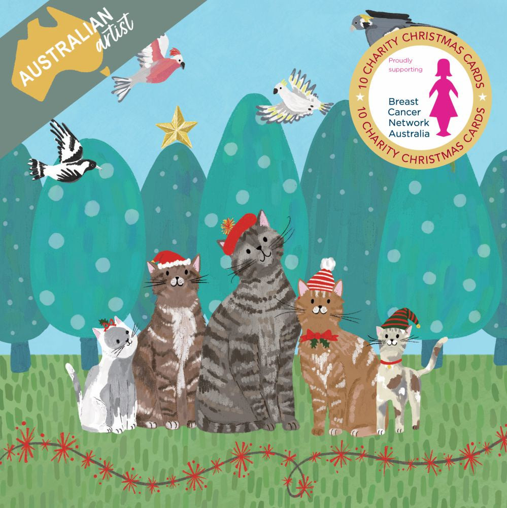 Santa Cats Charity Christmas Cards Set of 10