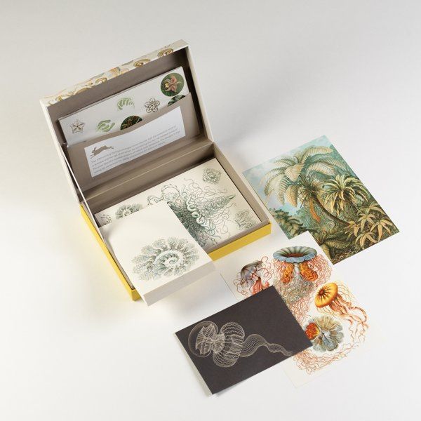 Art Forms In Nature Letter Writing Set