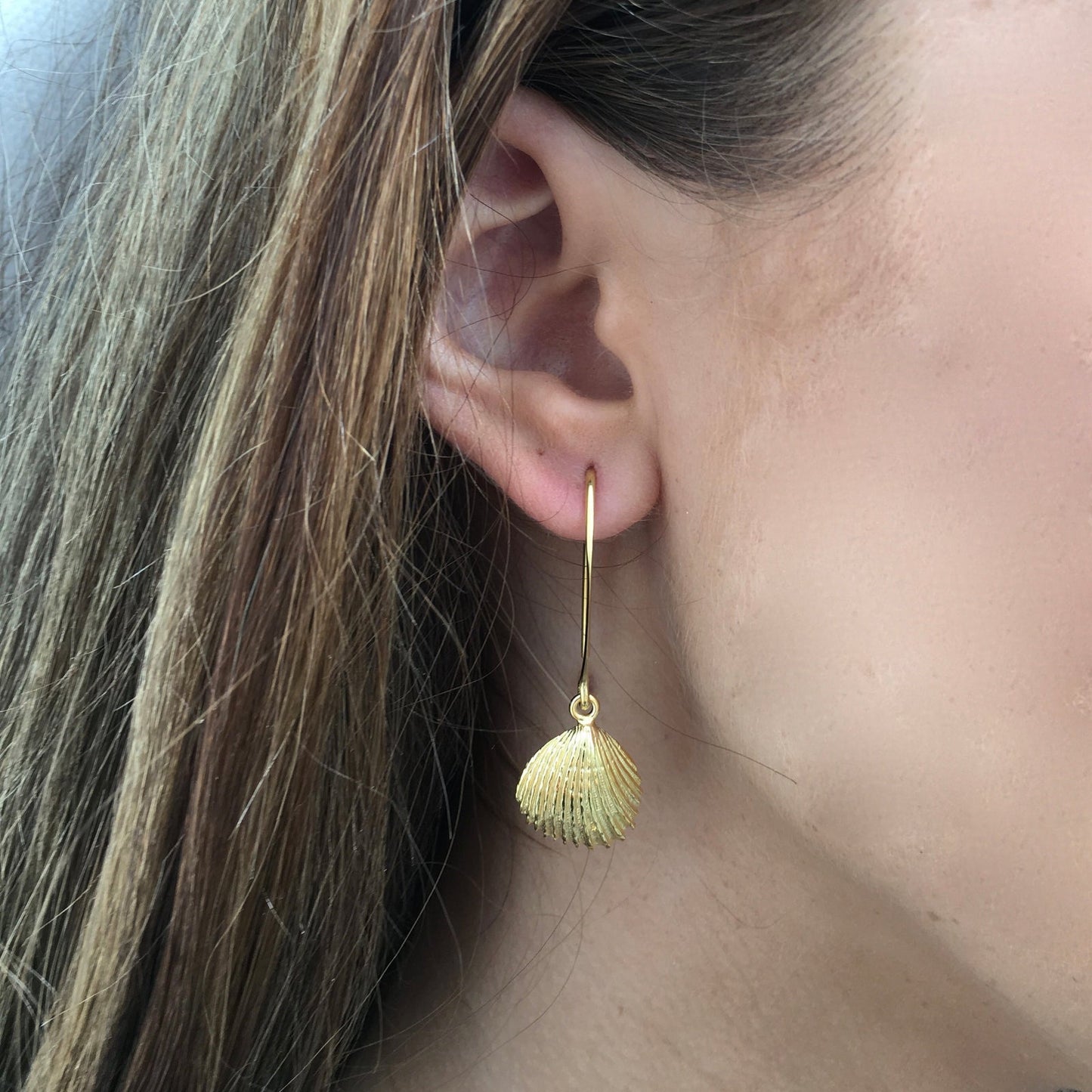 Trigonia Shell Gold Earrings