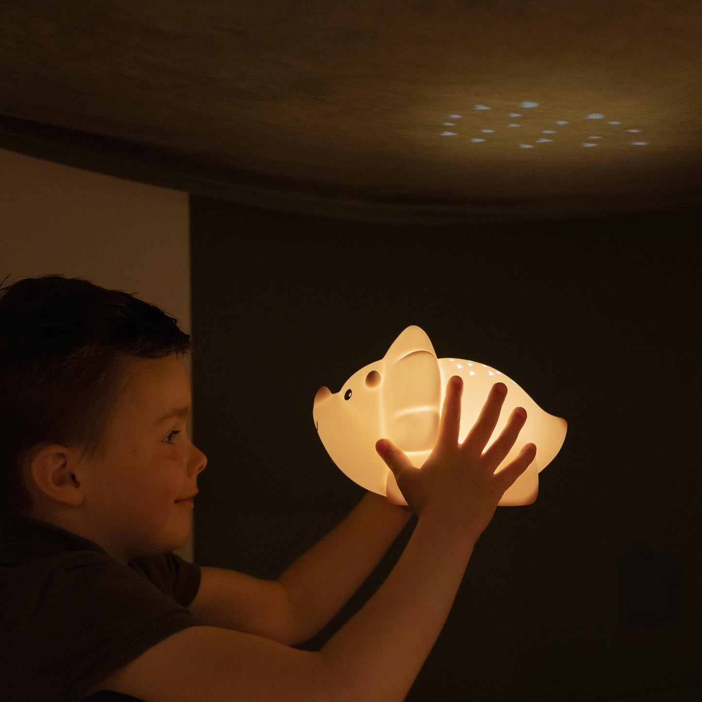 Juliette Dino Sand USB Projector Night Light
