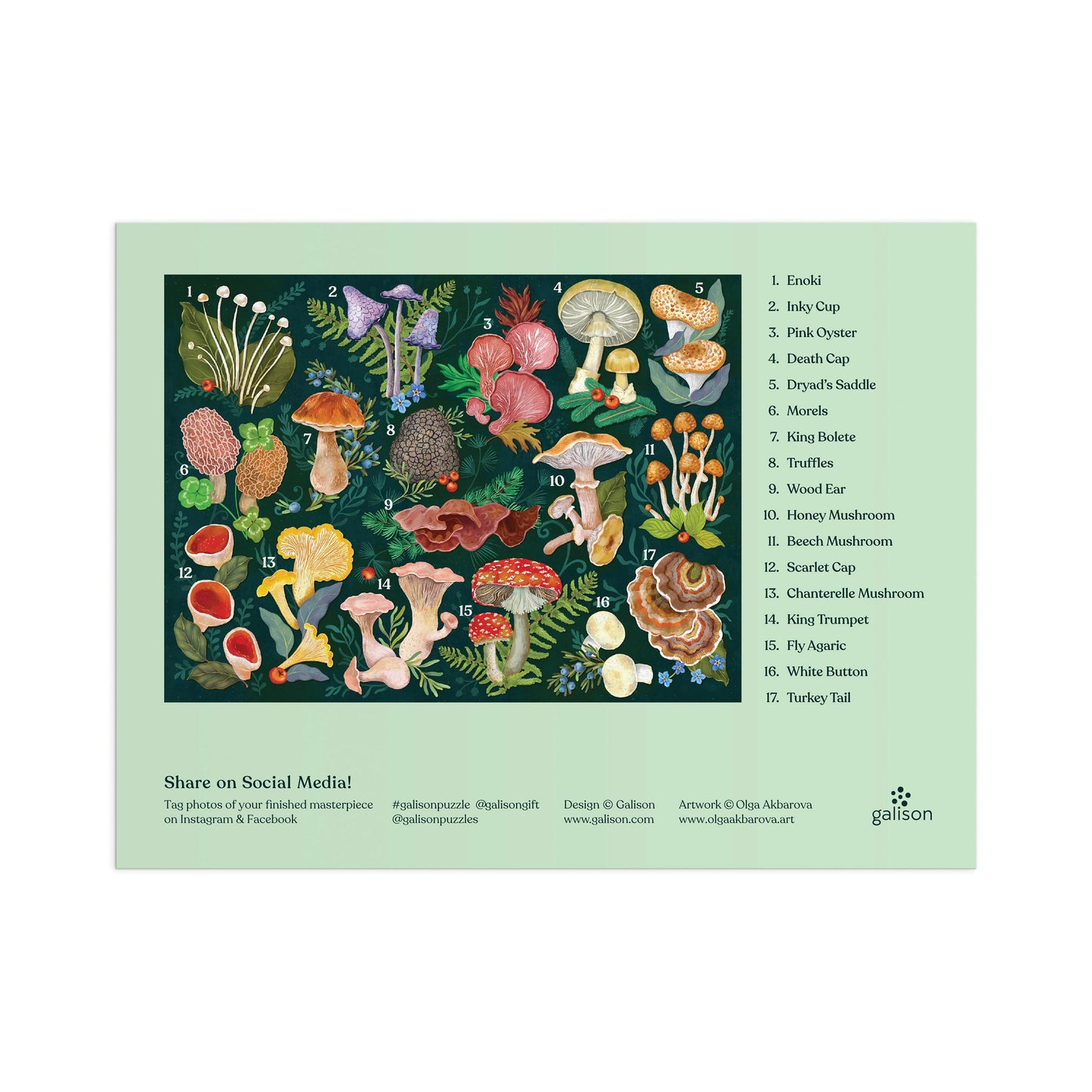 World Of Mushrooms 1000 Piece Puzzle