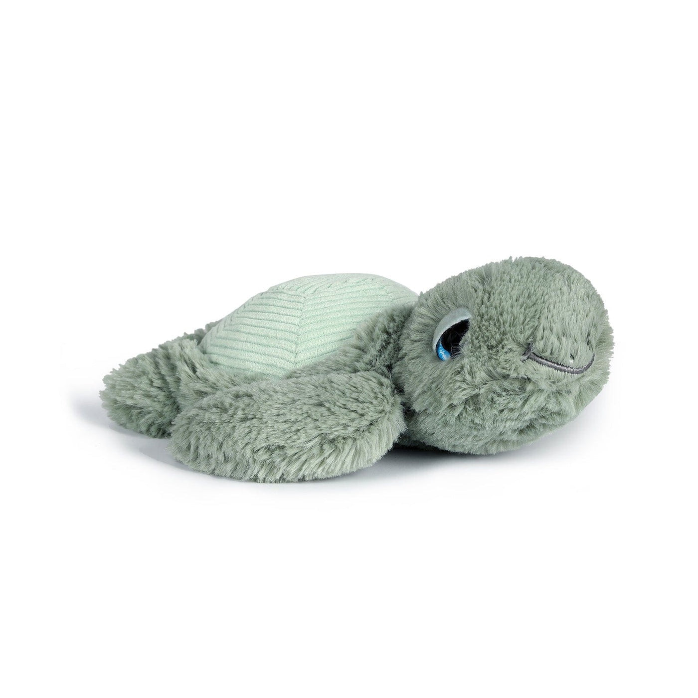 Little Tyler Turtle Soft Toy