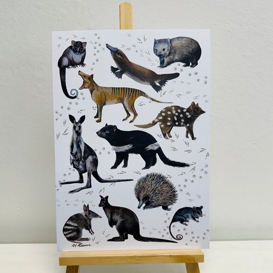 Tasmanian Wildlife Print