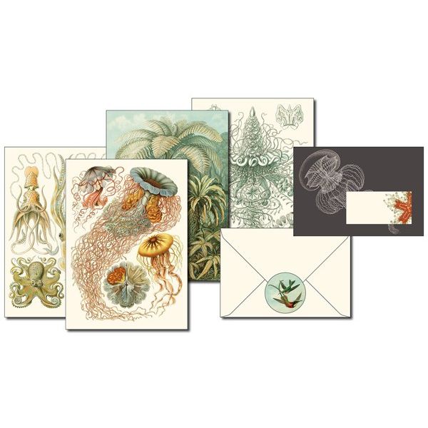 Art Forms In Nature Letter Writing Set