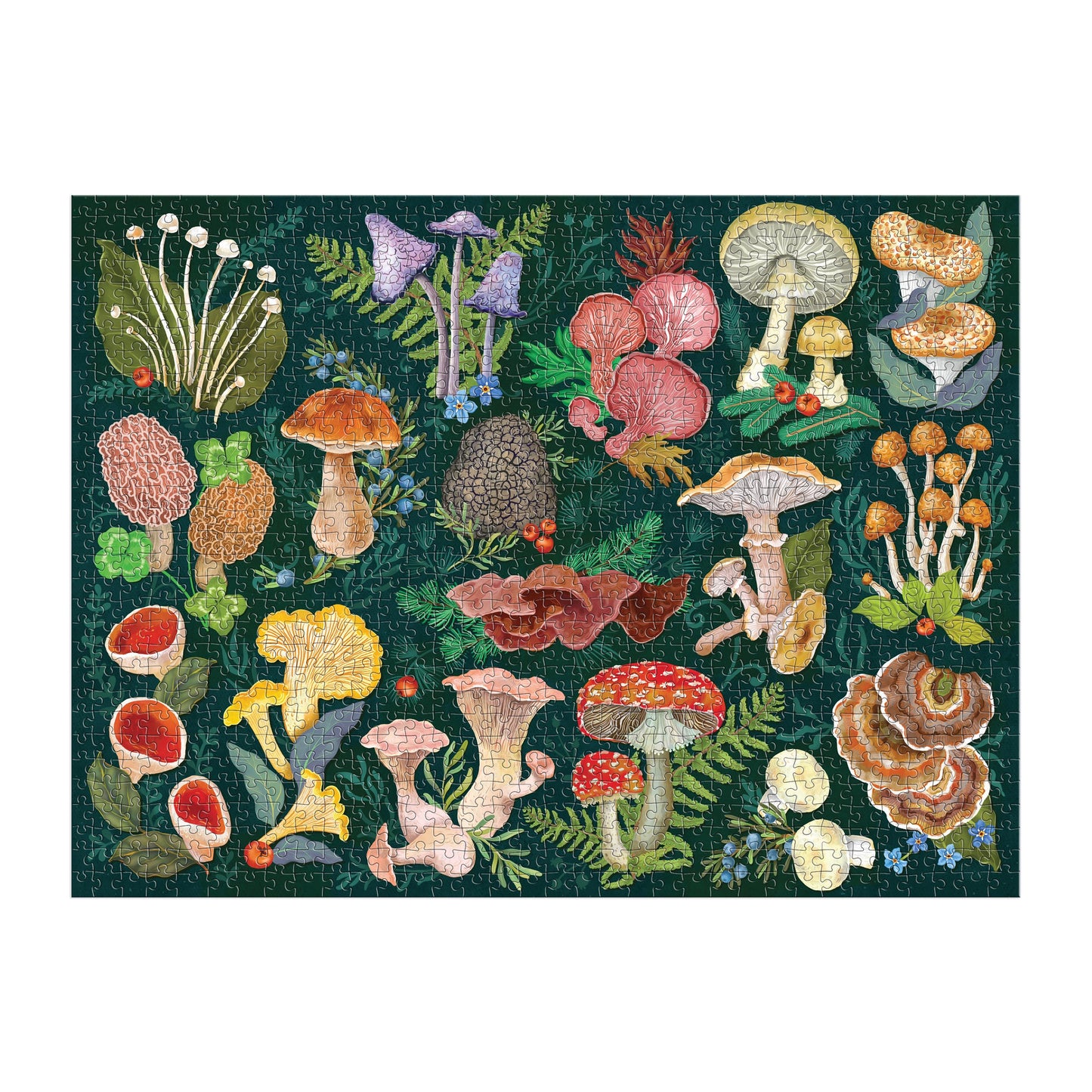 World Of Mushrooms 1000 Piece Puzzle