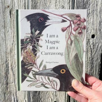 I Am A Magpie, I Am A Currawong