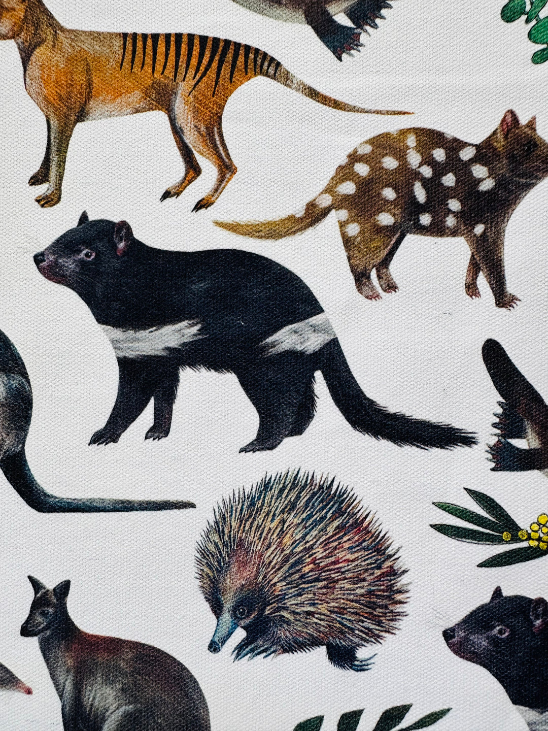 Tasmanian Animals Tea Towel