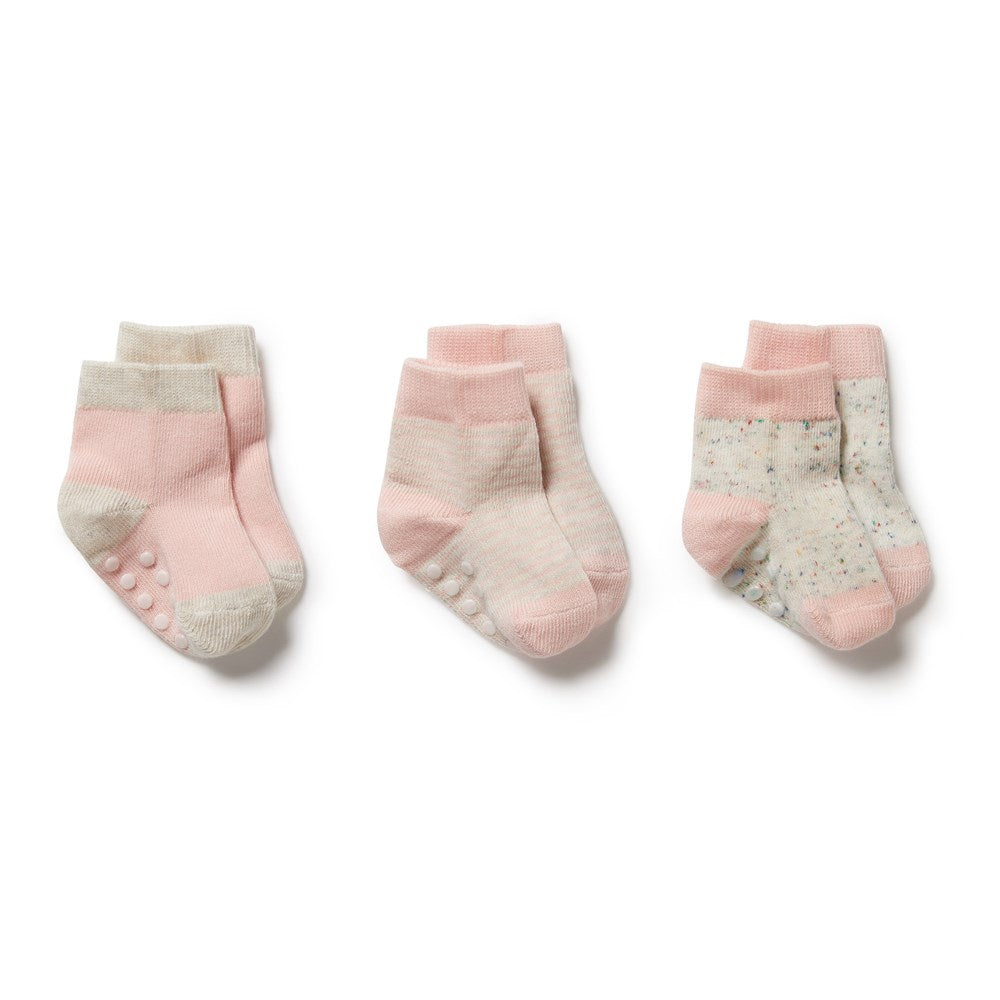 Cantaloupe Organic 3 Pack Baby Socks