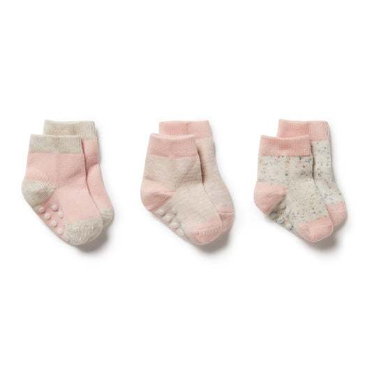 Cantaloupe Organic 3 Pack Baby Socks