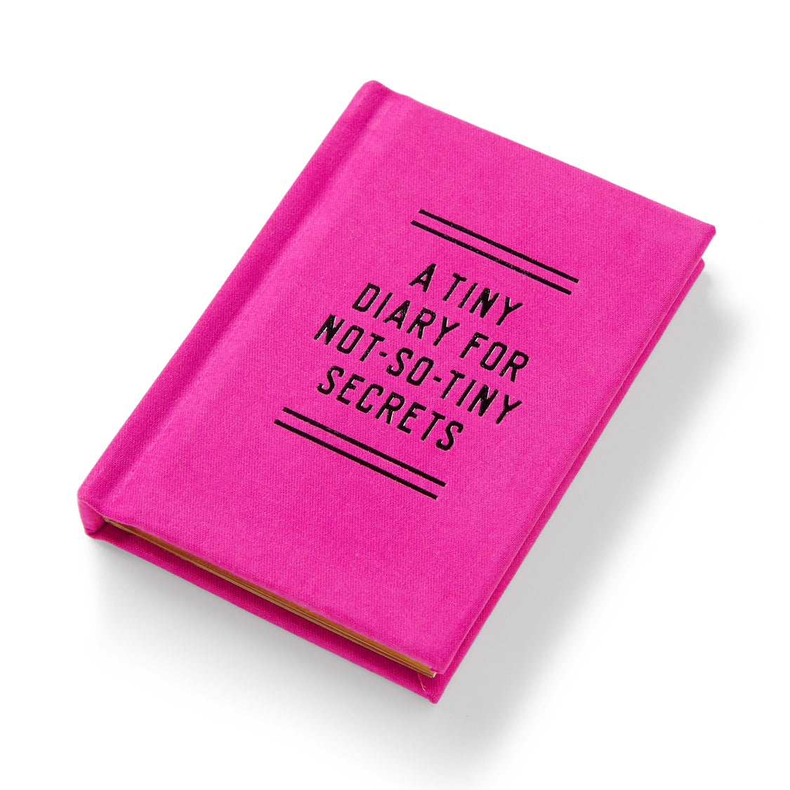 A Tiny Diary For Not So Tiny Secrets Mini Notebook