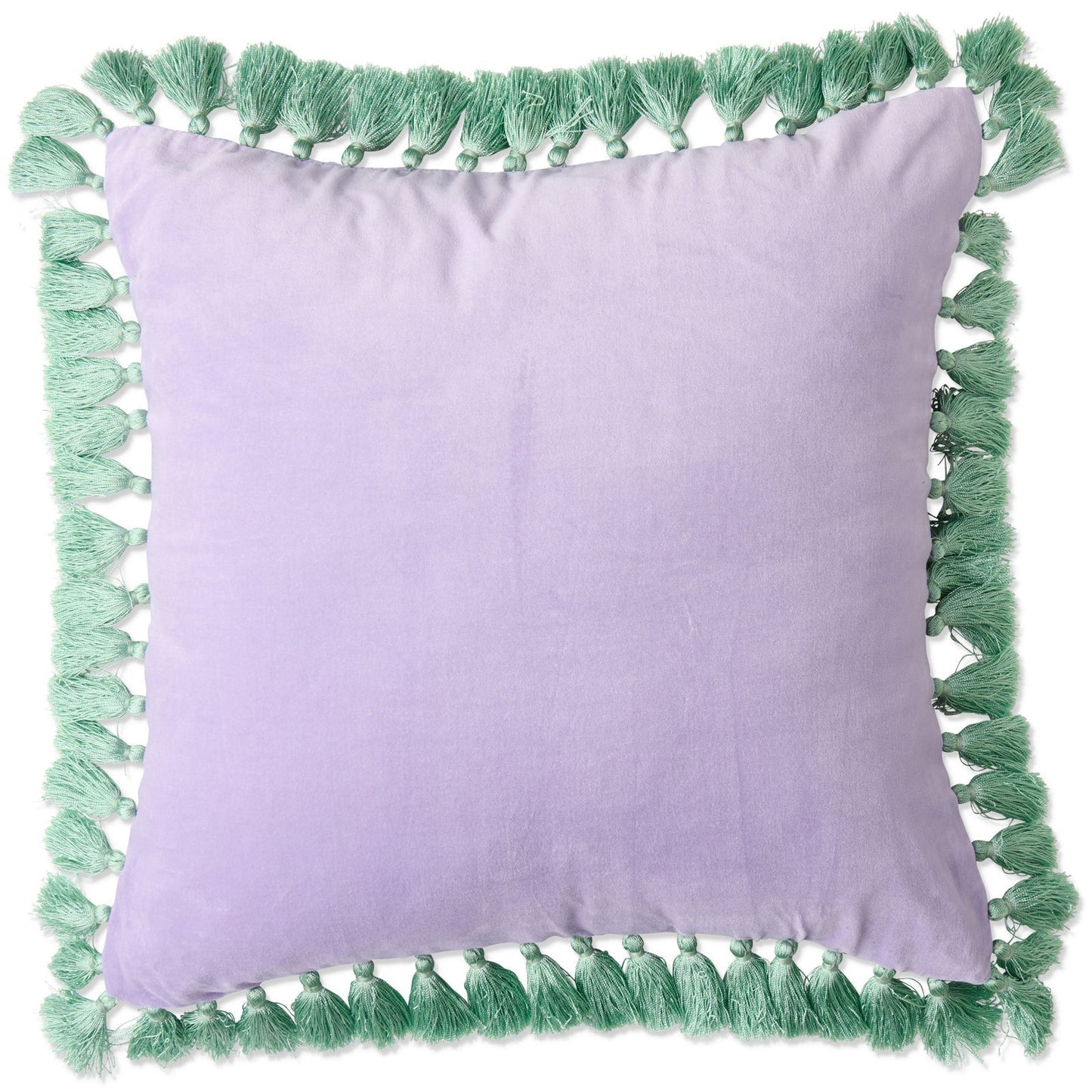 Wisteria Lane Velvet Tassel Cushion