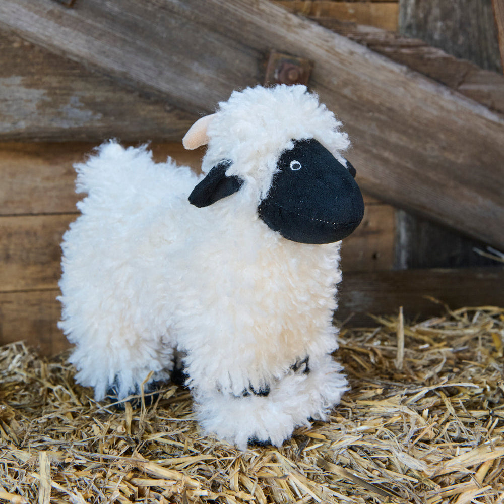 Valentina the Valais Sheep