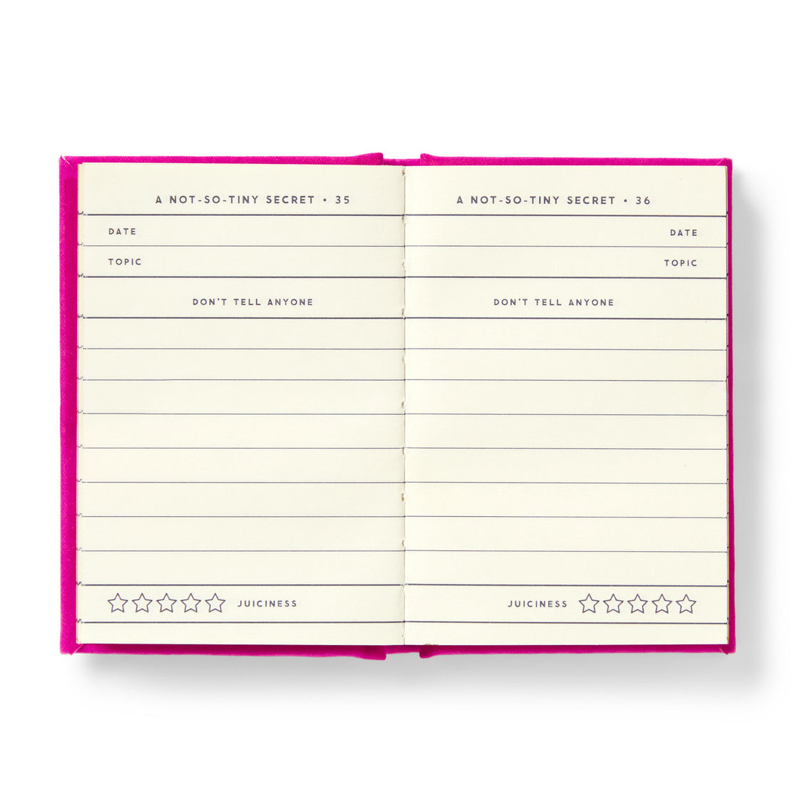 A Tiny Diary For Not So Tiny Secrets Mini Notebook