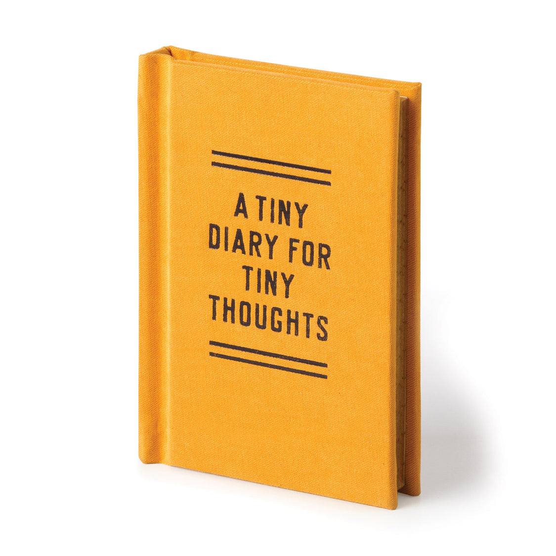 A Tiny Diary For Tiny Thoughts Mini Notebook