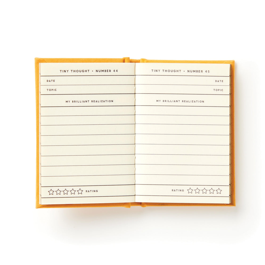 A Tiny Diary For Tiny Thoughts Mini Notebook