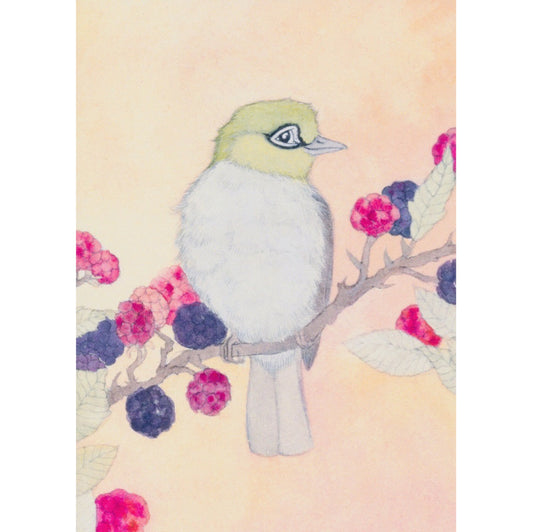 Silvereye Finch Greeting Card