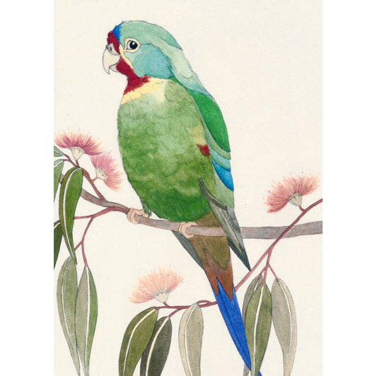 Swift Parrot Greeting Card