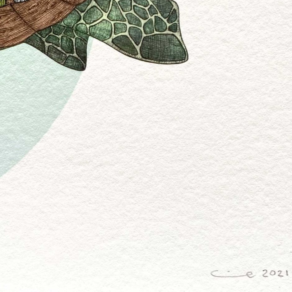 The Coral Reef Turtle Art Print