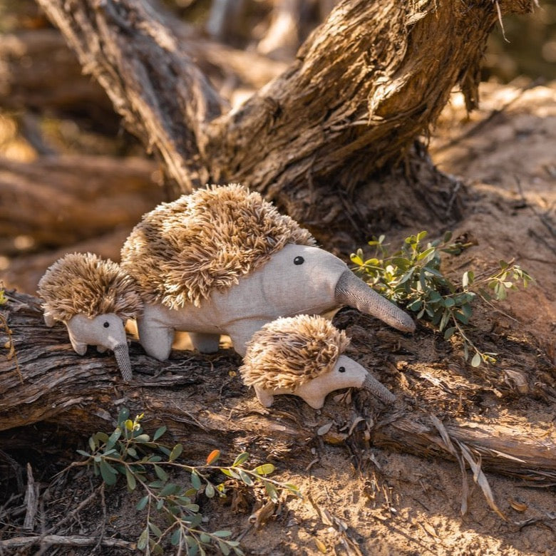 Spike the Echidna