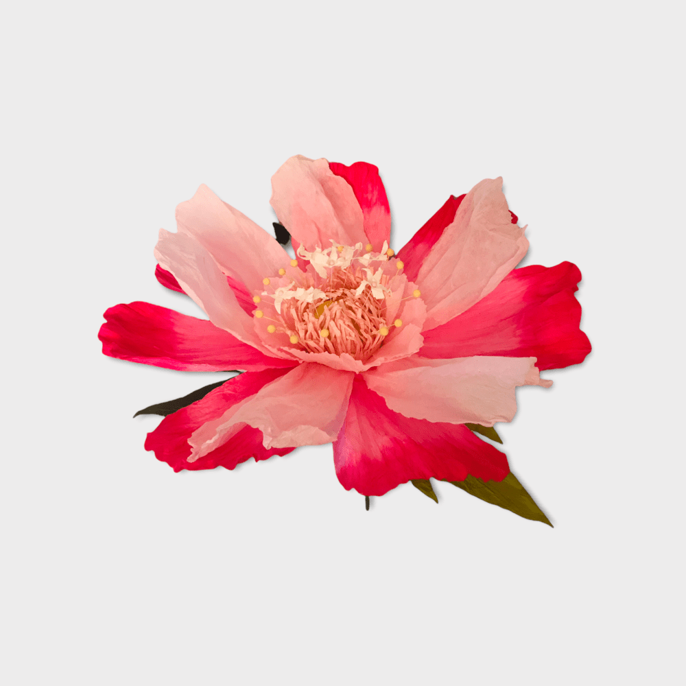 Paper Flower XL Pink