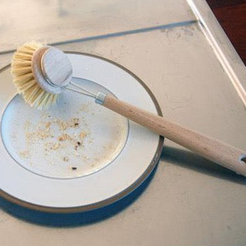 Dish Brush