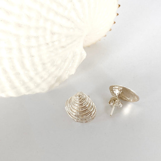 Venus Shell Stud Earrings Silver